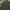 Celana jorts cargo Camell active photo 10