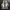 Nike Streetwear Sneakers Pria multicolor photo 4