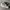 ADIDAS SUPERSTAR X HAN MERLIN ORIGINAL  photo 1