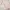 Longsleeve babypink floral coquette fairy y2k fullprint cute photo 3