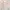 Longsleeve babypink floral coquette fairy y2k fullprint cute photo 1