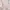 Longsleeve babypink floral coquette fairy y2k fullprint cute photo 4