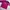Mizuno Y2K Sportswear Windbreaker Pria pink photo 3