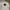 Polo Ralph Lauren Casual Pria white black photo 3