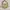 Coach Pink Signature Handbag photo 1