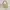Coach Pink Signature Handbag photo 4