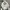 H&M Casual Hoody Pria White