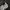 Salomon Gorpcore Indie Sneakers Pria white gray photo 4