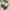 Adidas Terrex Green Black photo 4