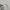 Yves Saint Laurent YSL Vintage Sunglass Pria tan red black photo 5