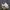 Nike Gorpcore Casual Sneakers Pria white gray photo 1