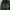 HOODIE GAP GREEN