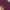 Adidas Tracktop Three Tone Collor | Tracktop Adidas photo 5