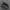 Nike Cosplay Casual Sneakers Pria black photo 2