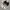 Original Badminton Kawasaki White Grey Orange K-003D Size 41 photo 4