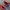Nike Fairy Casual Sneakers Pria red black photo 4