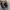 Adidas Gorpcore Casual Sneakers Pria black photo 5