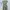 Dress H&M Snake Print – Size 40P (EUR) / 8P (US/CA/MX) / photo 1