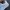 Nike Air Jordan Gorpcore Indie Sneakers Wanita white photo 5