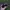 Sunglasses RayBan Wayfarrer Black Doff photo 6