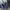 Reebok Indie Casual Sneakers Pria white blue photo 5