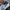 Reebok Indie Casual Sneakers Pria white blue photo 4