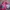 Y2K Hat Wanita pink photo 2