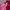 Y2K Hat Wanita pink photo 4