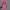 Y2K Hat Wanita pink photo 1