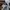 Adidas Indie Casual Sneakers Pria white photo 6