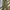 Korean Army HBT Fatigue Pant 80’s photo 1