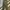 Korean Army HBT Fatigue Pant 80’s photo 2