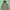 Beams Japan Green Hooded Field Jacket Military Style Kapital