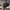Hat Cap Nascar Budweiser photo 3