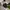 Hat Cap Nascar Budweiser photo 1