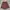 Vintage Y2K Short Wanita burgundy brown photo 5