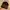 MLB Vintage Sportswear Hat Pria Black