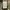 M65 woodland military jacket photo 3