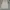 Vintage Skirt Wanita white tan photo 4
