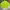 Dickies Streetwear Skater Jumper Pria green black photo 3