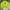 Dickies Streetwear Skater Jumper Pria Green Black