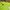 Dickies Streetwear Skater Jumper Pria green black photo 4