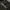 Crewneck Brand Discovery Expedition Black photo 1