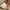 Coquette milkmaid petite fleur pink top photo 6