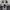 Adidas Superstar Original Size 42 China 2021 photo 3