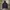TNF Hyvent Midnight Purple photo 8