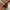 Louis Vuitton x Takashi Murakami cherry monogram bowtie mule photo 5