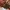 Louis Vuitton x Takashi Murakami cherry monogram bowtie mule photo 7