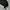 Code:Graphy Military US-ARMY Padding Jumper (Black)
 photo 3