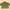 Kemeja Crop Warna Olive (liat Deskripsi)